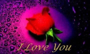 i love you